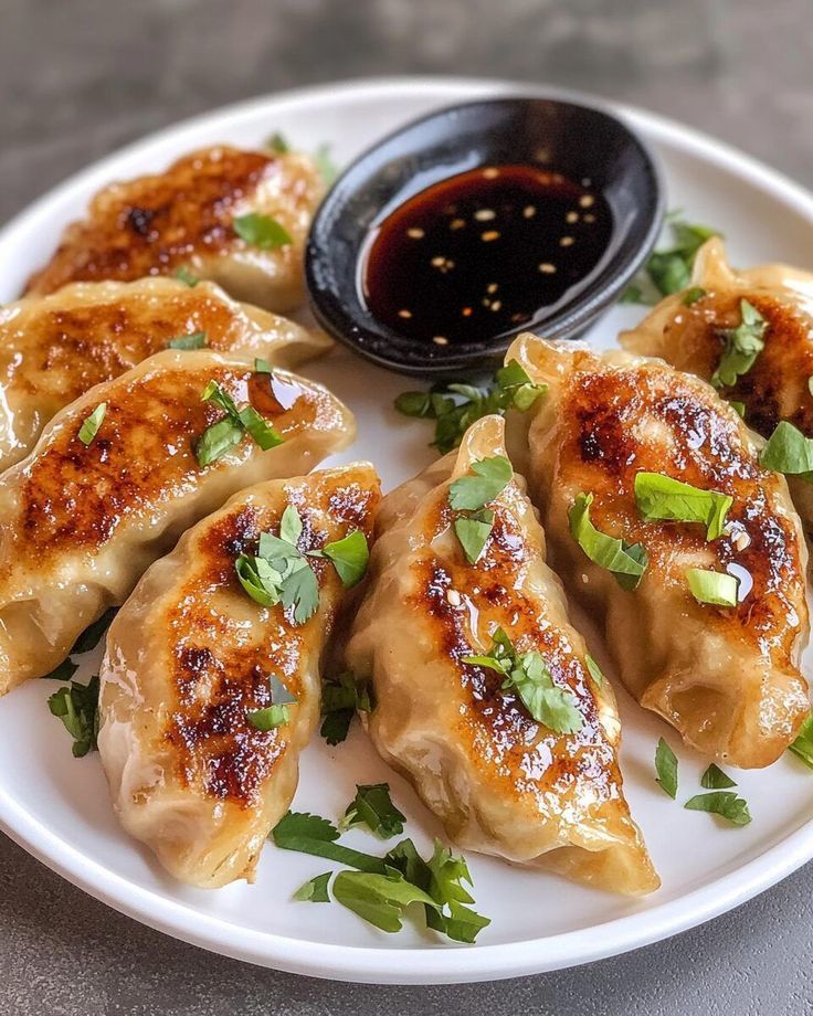 Fried Classic Chicken Momo